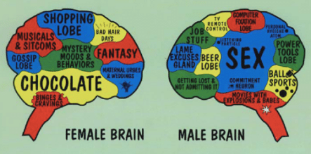 different brains