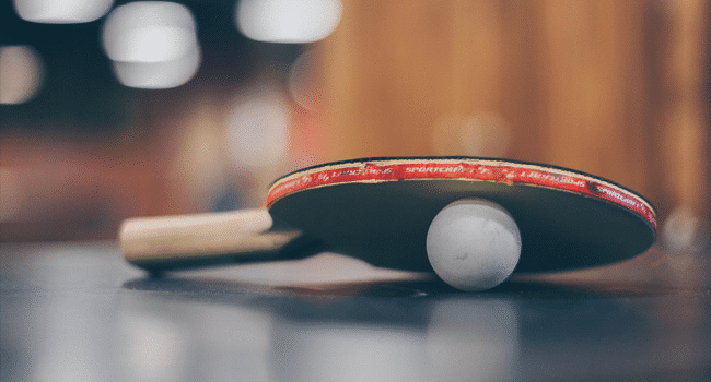 ping pong paddle